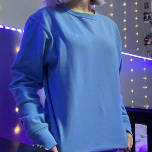 Baby blue champion sweatshirt